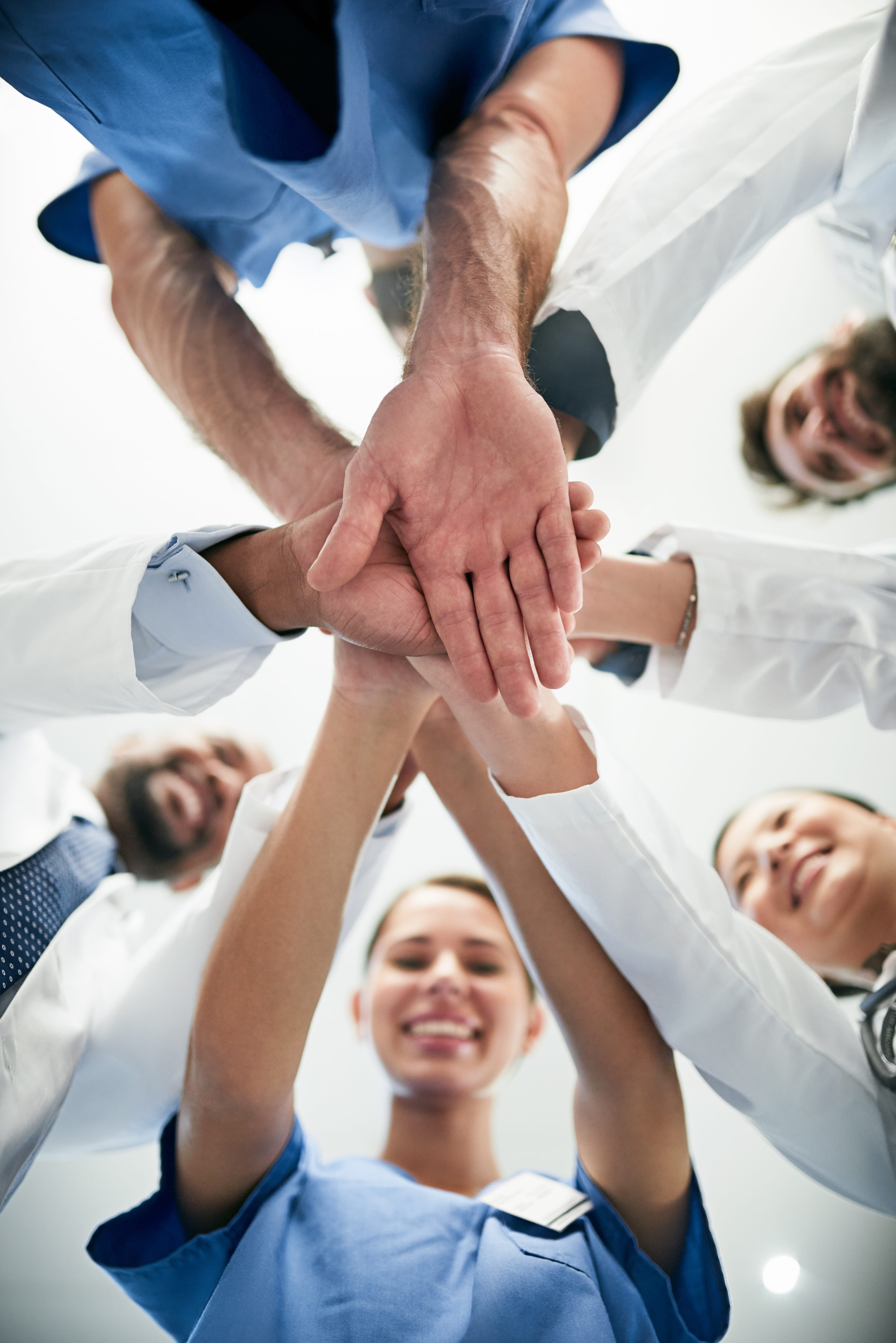 A Smarter Path to Returns in the European Veterinary Sector