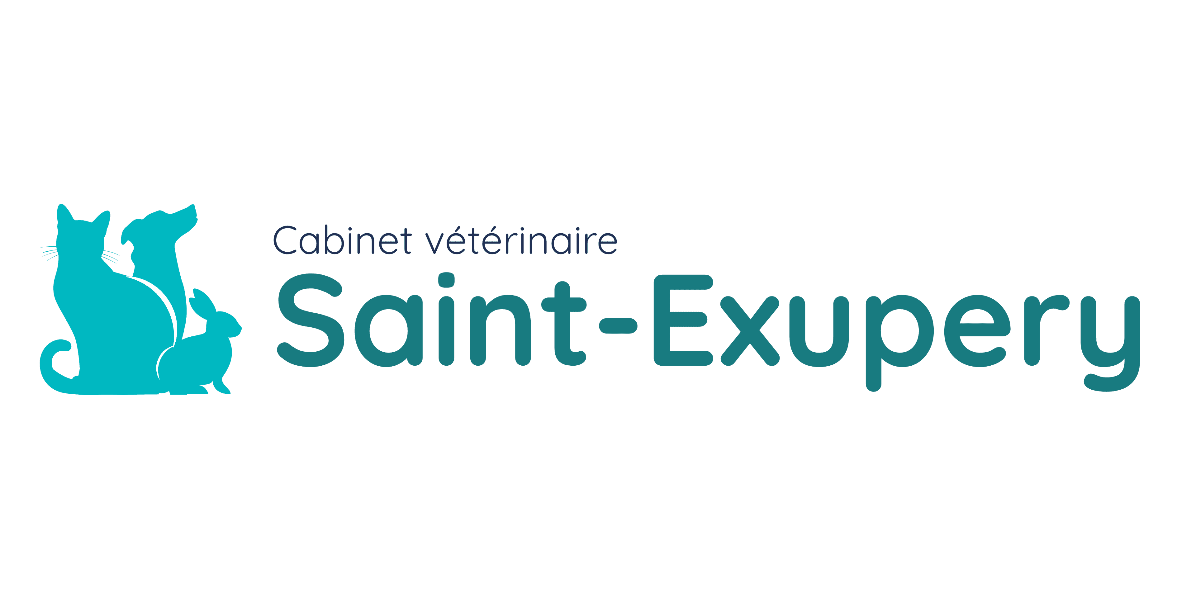 clinique veterinaire saint exupery toulouse_logo