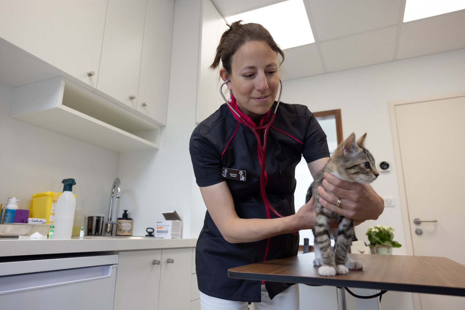 Smartemis veterinary community