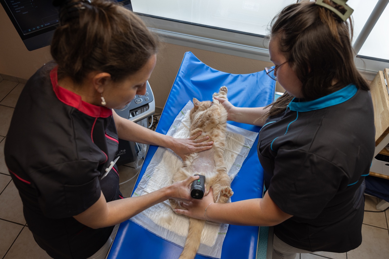Veterinary clinic
