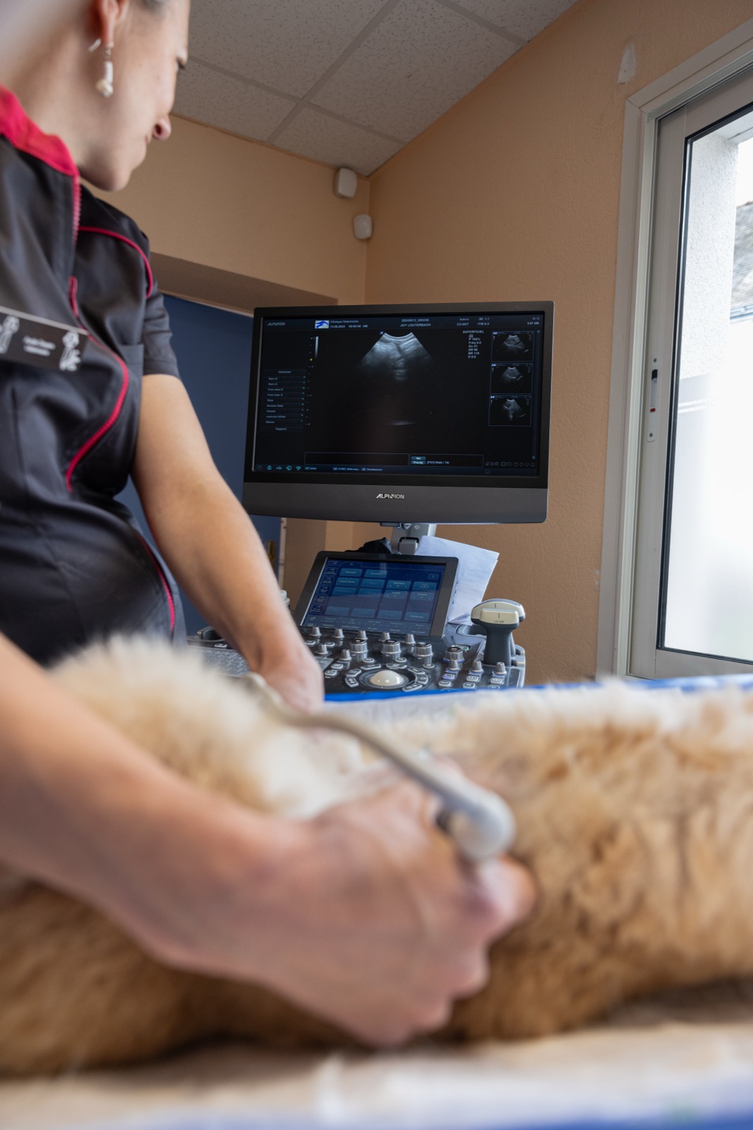 Veterinary clinic