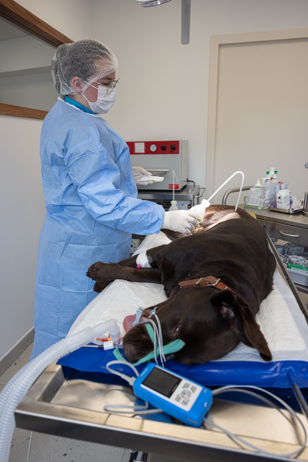 Veterinary clinic