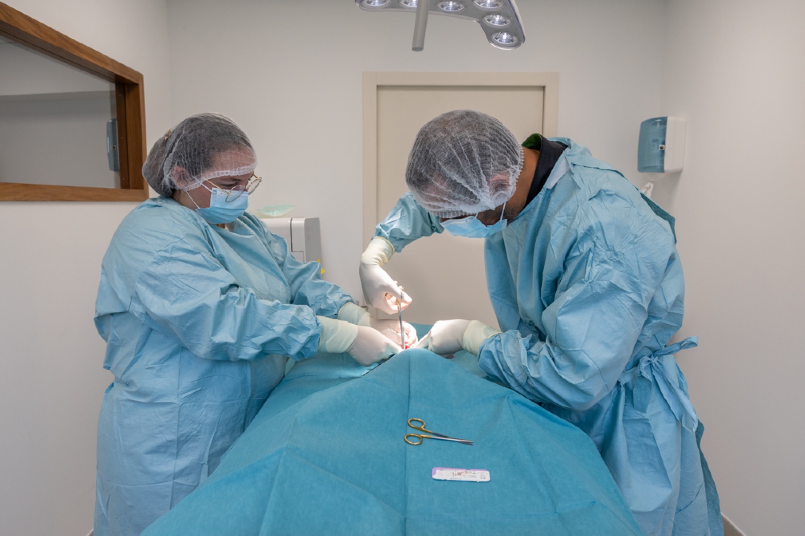 Veterinary clinic