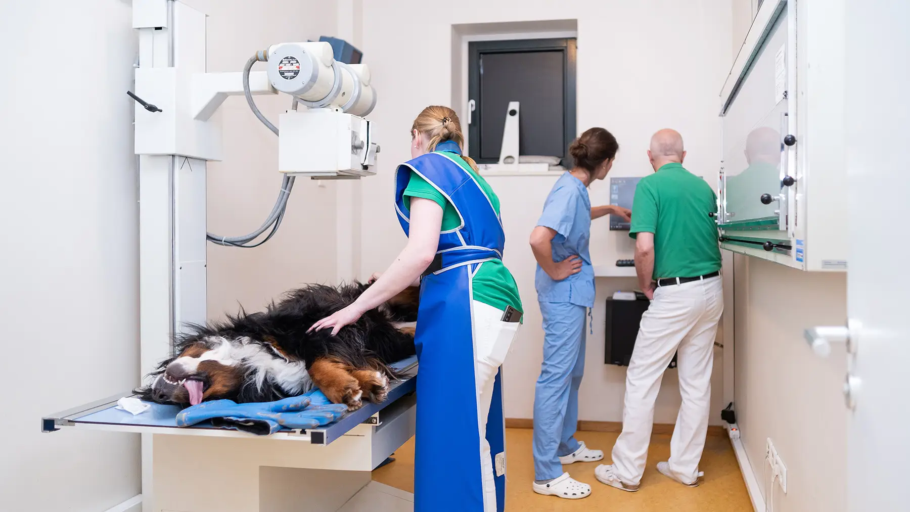 Praxisteam am Röntgengerät mit Hund
