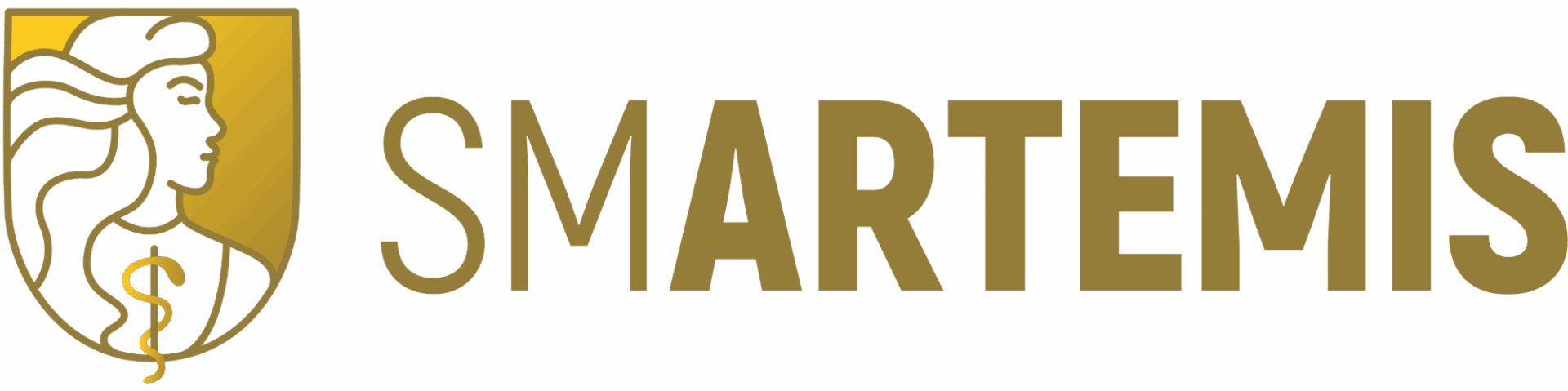 Smartemis logo